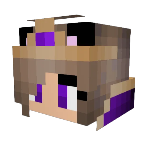 QueenPanda69 Minecraft avatar head, 3D render
