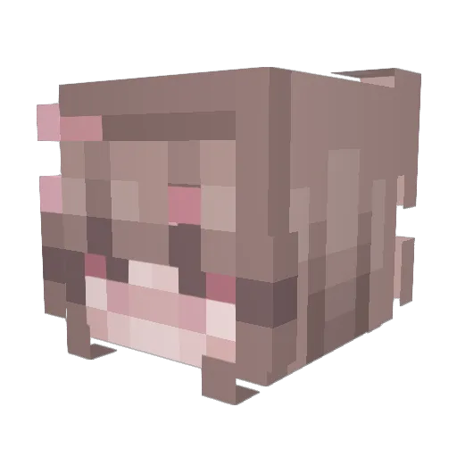 QueenSashaA Minecraft avatar head, 3D render
