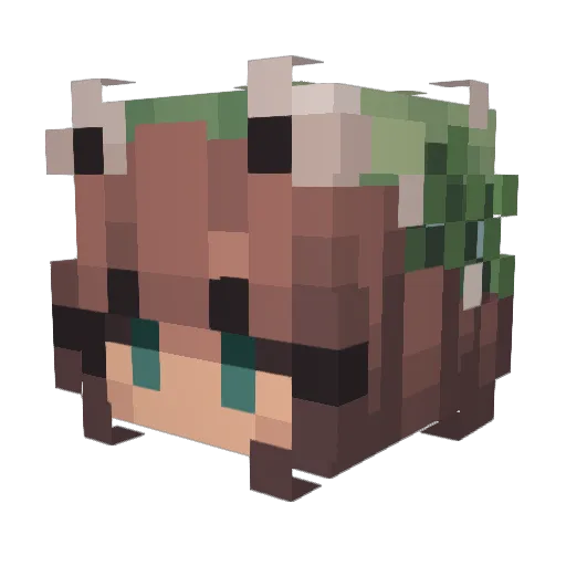 QueenTaiyo Minecraft avatar head, 3D render