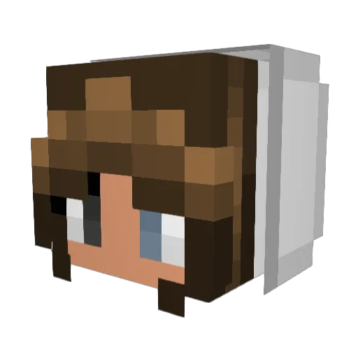 QueenWolfie_20 Minecraft avatar head, 3D render