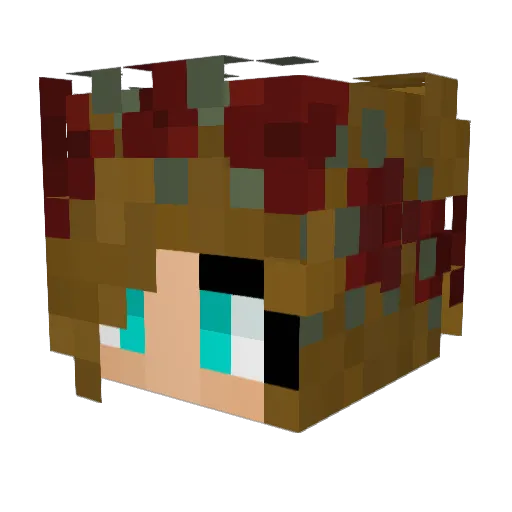Queen_Froggy Minecraft avatar head, 3D render