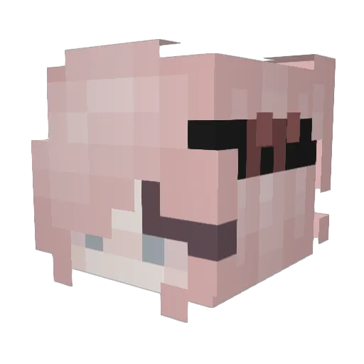 Queencami24567 Minecraft avatar head, 3D render