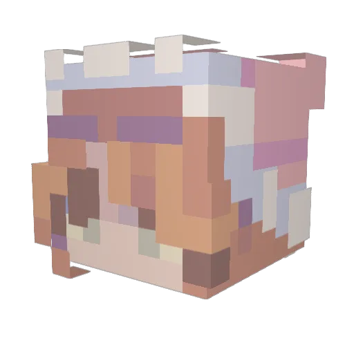 QueenofSilence Minecraft avatar head, 3D render
