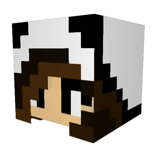 Queenzee0425 Minecraft avatar head, 3D render