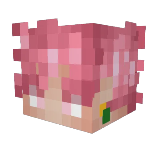Quelvec Minecraft avatar head, 3D render