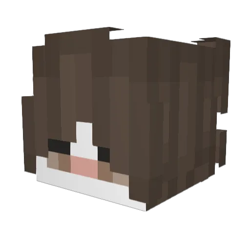 Quemchex Minecraft avatar head, 3D render