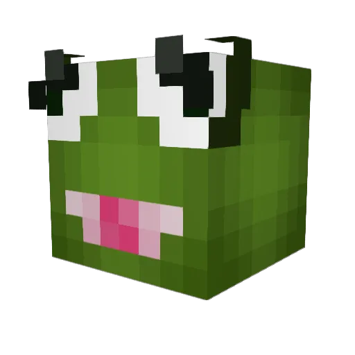 Quentbuscus23 Minecraft avatar head, 3D render