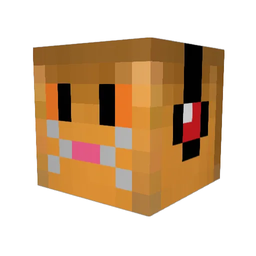 QuentinTheCat Minecraft avatar head, 3D render