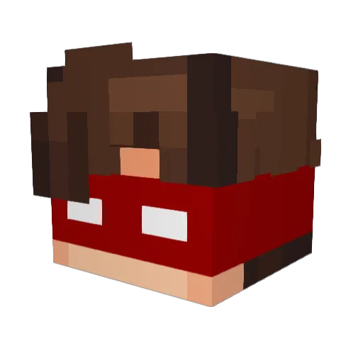 Quentinuus Minecraft avatar head, 3D render