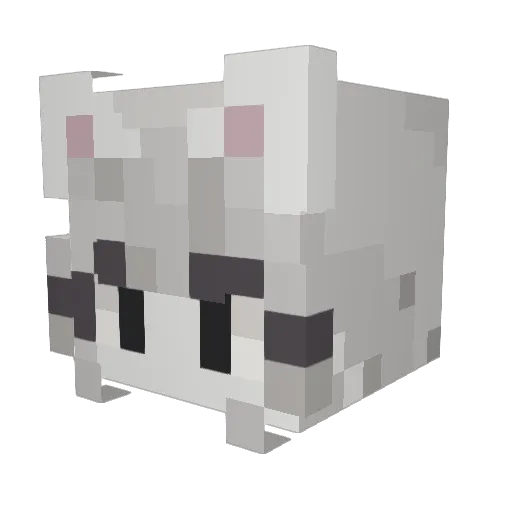 Quesabirria2012 Minecraft avatar head, 3D render