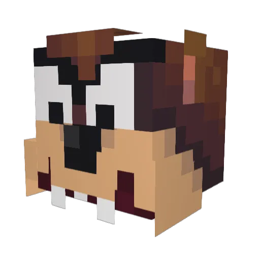 QuestHacker Minecraft avatar head, 3D render