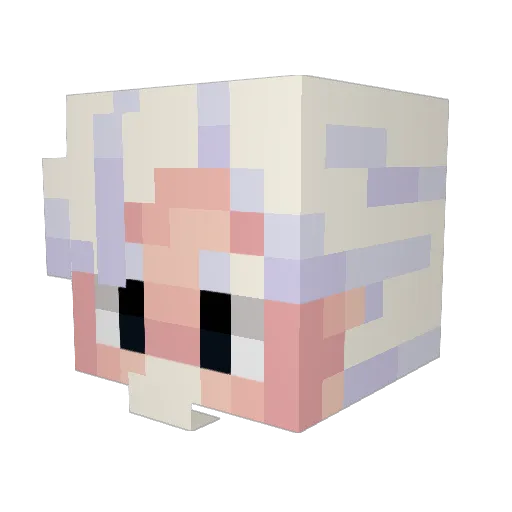 QuestPickles Minecraft avatar head, 3D render