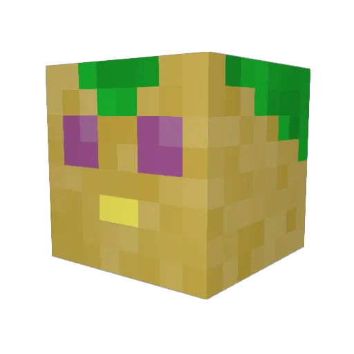 Quetzal420 Minecraft avatar head, 3D render