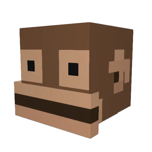 QuiNoaaaaaaaa Minecraft avatar head, 3D render