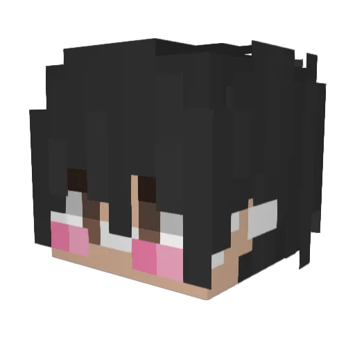 QuickAlan0 Minecraft avatar head, 3D render