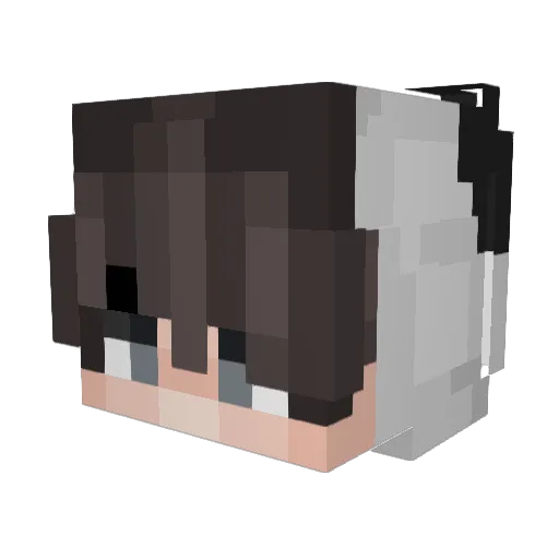 QuickPuma530957 Minecraft avatar head, 3D render