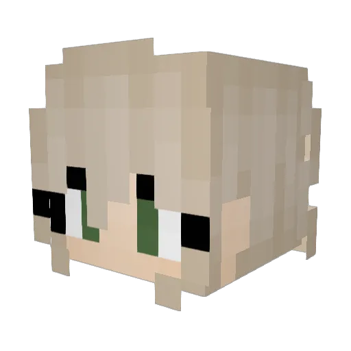 QuickQuacks Minecraft avatar head, 3D render