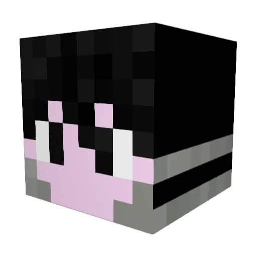 QuickSilver259 Minecraft avatar head, 3D render