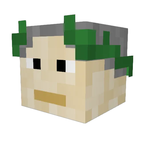 Quickscoper7216 Minecraft avatar head, 3D render