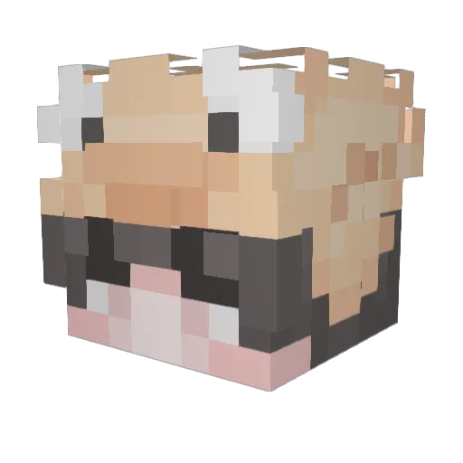 QuickyQuack Minecraft avatar head, 3D render