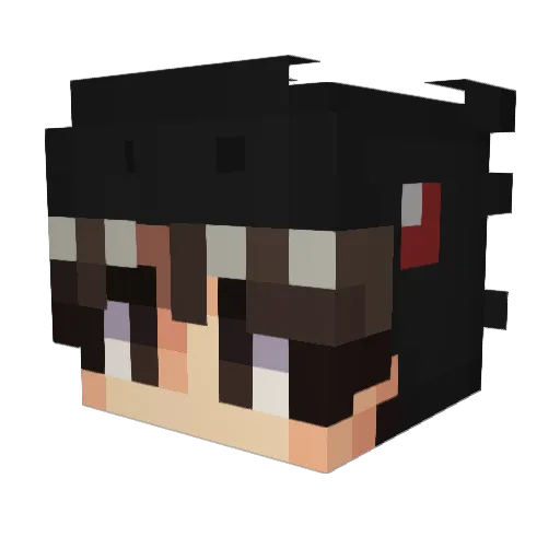 QuietRidge2014 Minecraft avatar head, 3D render