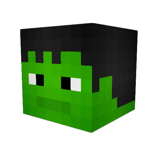QuietSilence176 Minecraft avatar head, 3D render