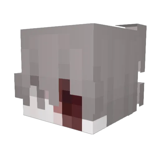 Quiet_MGuy Minecraft avatar head, 3D render