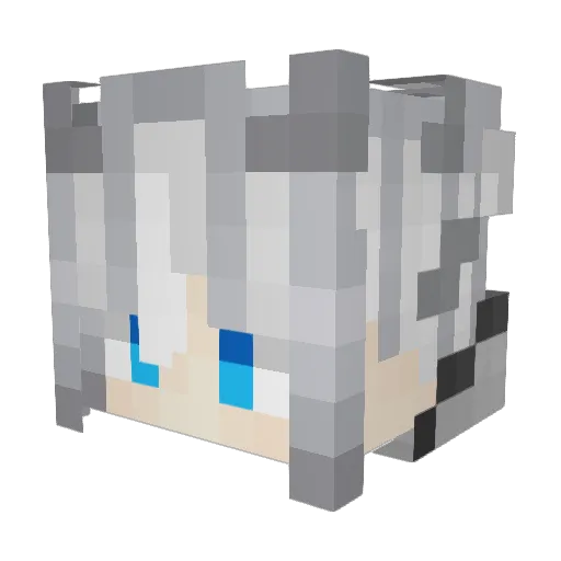 Quiet_feather Minecraft avatar head, 3D render