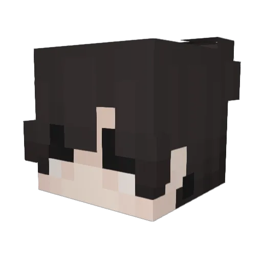 Quietparanoia Minecraft avatar head, 3D render