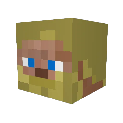 Quigger76 Minecraft avatar head, 3D render