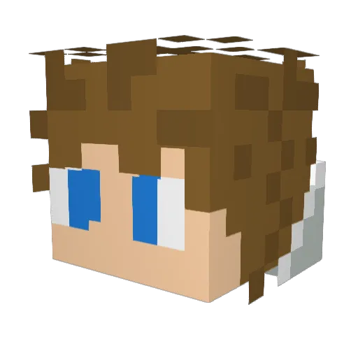 Quigzy11 Minecraft avatar head, 3D render