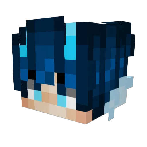Quii76 Minecraft avatar head, 3D render