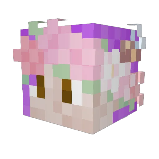 QuillOwl Minecraft avatar head, 3D render