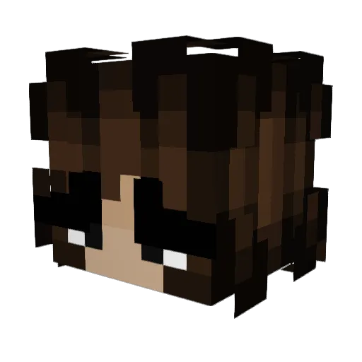 Quillish1984 Minecraft avatar head, 3D render
