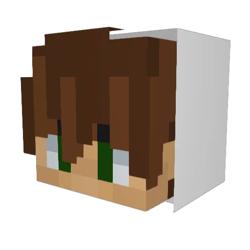 Quilty15 Minecraft avatar head, 3D render