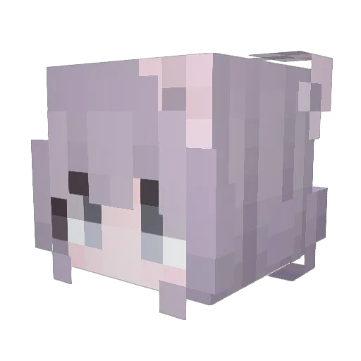 Quilynn360 Minecraft avatar head, 3D render