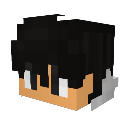 Quim3324 Minecraft avatar head, 3D render