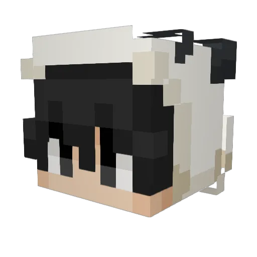 Quimoinon_ Minecraft avatar head, 3D render