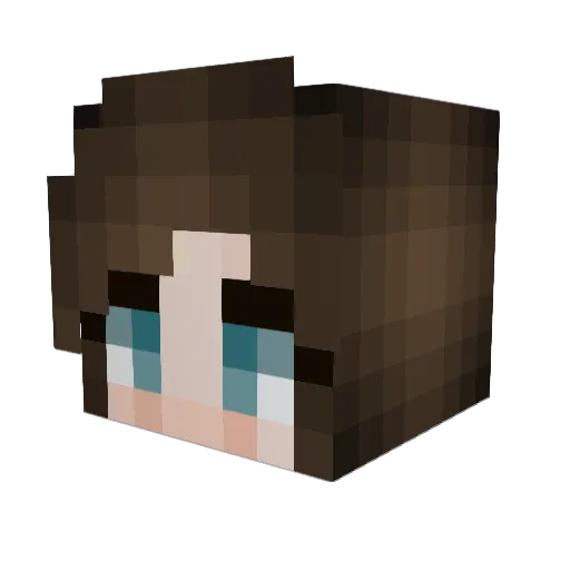 Quin15 Minecraft avatar head, 3D render