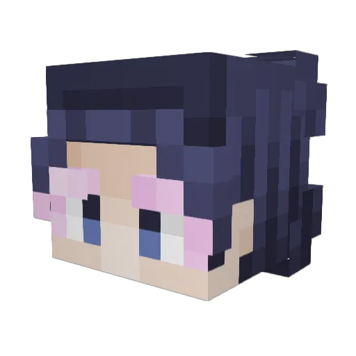 Quin_Pog Minecraft avatar head, 3D render