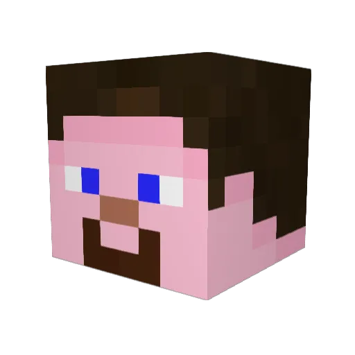 Quinciple Minecraft avatar head, 3D render