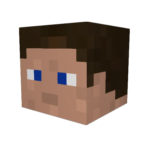 Quinjet Minecraft avatar head, 3D render