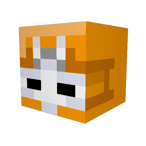 Quinn0binn0 Minecraft avatar head, 3D render