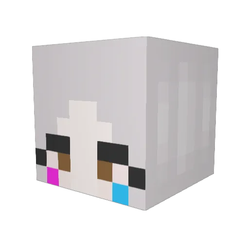 Quinn1006 Minecraft avatar head, 3D render
