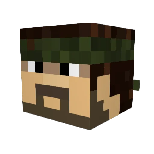 Quinn2142 Minecraft avatar head, 3D render