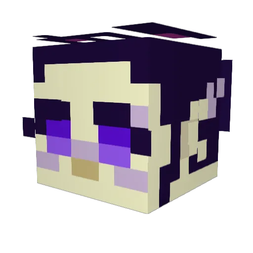 Quinn4318 Minecraft avatar head, 3D render