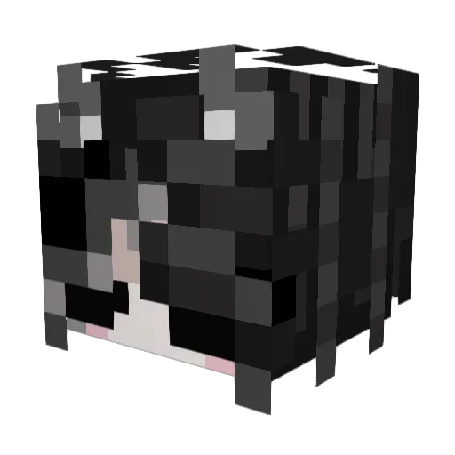 Quinn8624 Minecraft avatar head, 3D render
