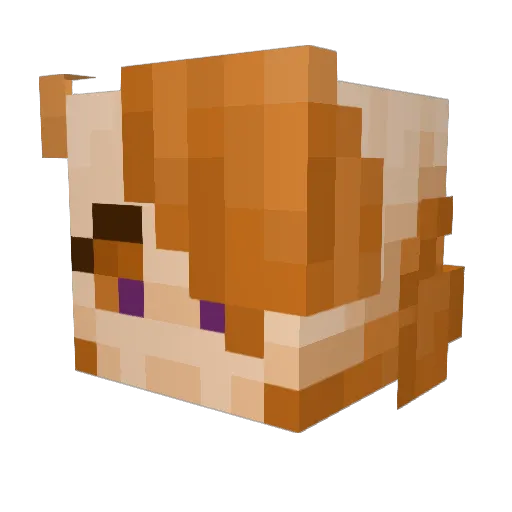 QuinnCassette Minecraft avatar head, 3D render