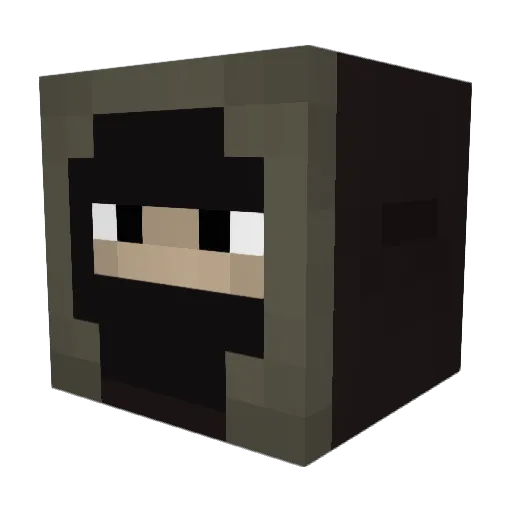 QuinnCidence1 Minecraft avatar head, 3D render