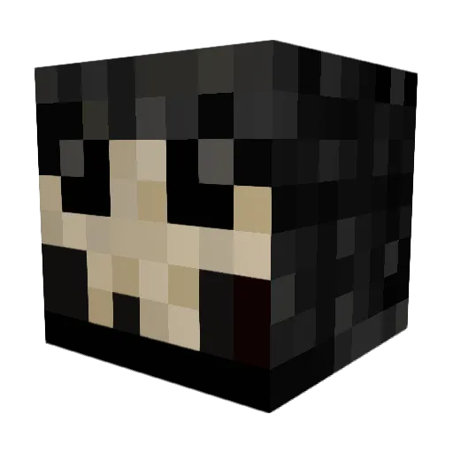 QuinnDeLane Minecraft avatar head, 3D render